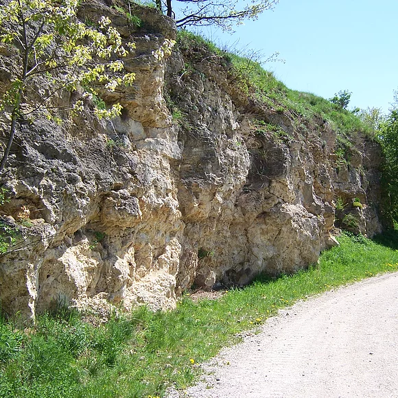 Bürschel Hainsfarth Blick auf das Gestein am Bürschel in Hainsfarth