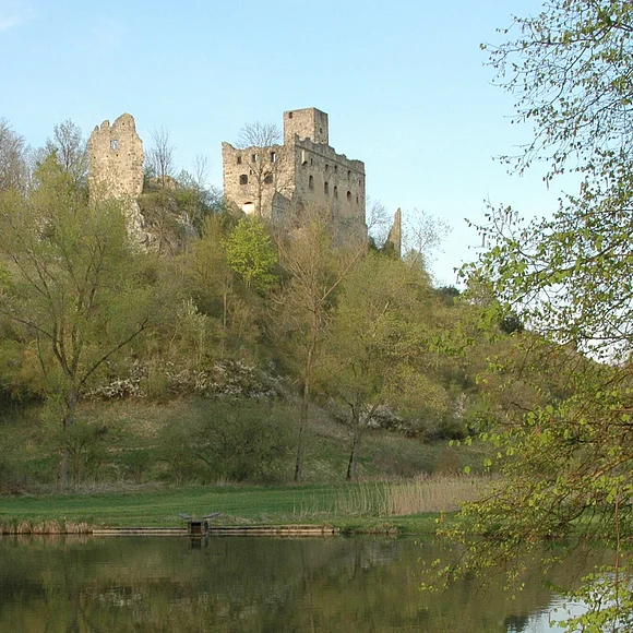 Blick auf die auf dem grünen Hügel liegende Ruine Niederhaus. Davor ein kleiner Weiher.