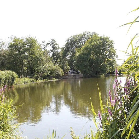 Fürfällmühle am Wörnitztal-Riesrandweg Blick auf die Wörnitz mit der Fürfällmühle.