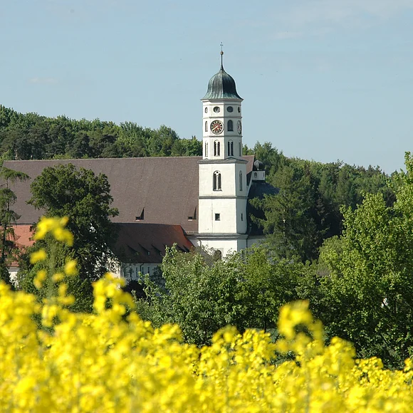Blick auf die Klosterkirche Maihingen mit davor liegendem, blühendem Rapsfeld