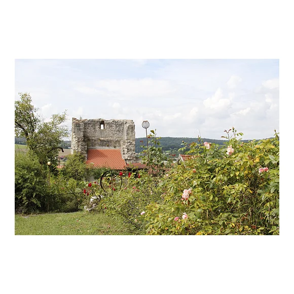 Garten der Ruine Graisbach