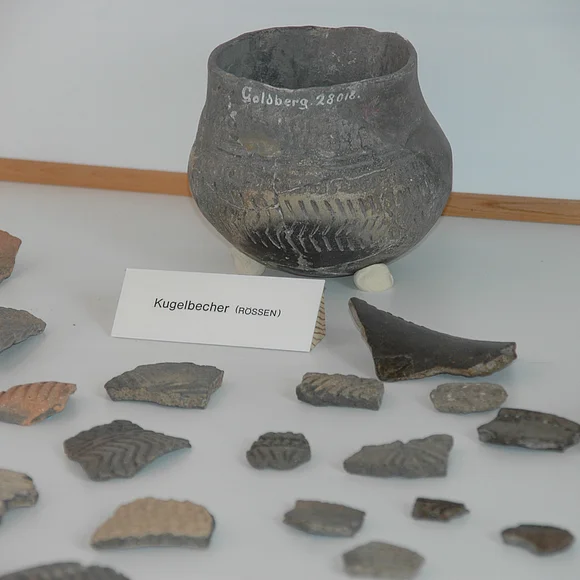 Scherben im Goldbergmuseum Scherben und ein Kugelbecher die im Goldbergmuseum ausgestellt sind