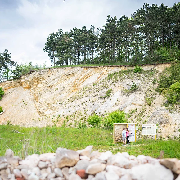 Zwei Personen stehen vor Informationstafeln in einem ehemaligen Steinbruch.