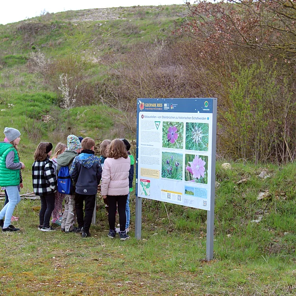 Eine Gruppe Kinder steht vor einer großen Informationstafel.