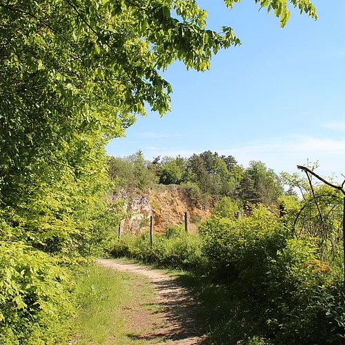 Ein Pfad wird auf der einen Seite von Büschen gesäumt. Auf der anderen Seite ist hinter einem Zaun mit Büschen die Felswand eines ehemaligen Steinbruchs zu sehen.