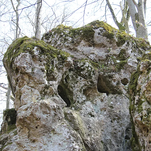 Eine Felsformation ist teils ausgehöhlt und mit Moos überwachsen. Im Hintergrund sind kahle Bäume zu sehen.