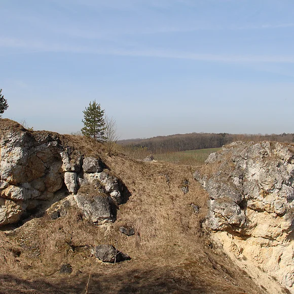 Eine Felsformation bildet die Kuppe eines Hügels. Im Hintergrund sind Äcker und Wald zu sehen.