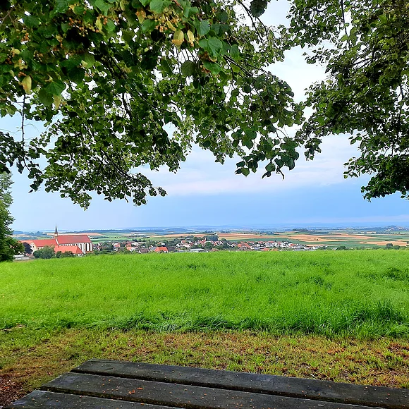 Von einem Hügel mit Wiese aus erstreckt sich der Blick auf eine Siedlung mit einer Kirche und Äcker und Wiesen. Von oben ragen Äste ins Bild.