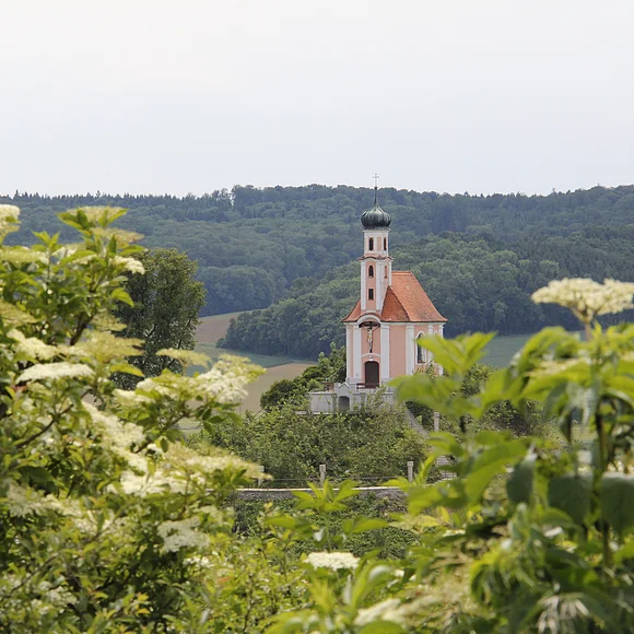 Über eine Hecke aus Holunder richtet sich der Blick auf eine kleine Kapelle mit rosa Fassade. Am Horizont erstreckt sich Wald.