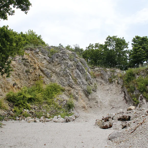 Ein kleiner ehemaliger Steinbruch hat eine Felswand aus schräggestelltem Gestein. Neben und auf der Felswand stehen Bäume.