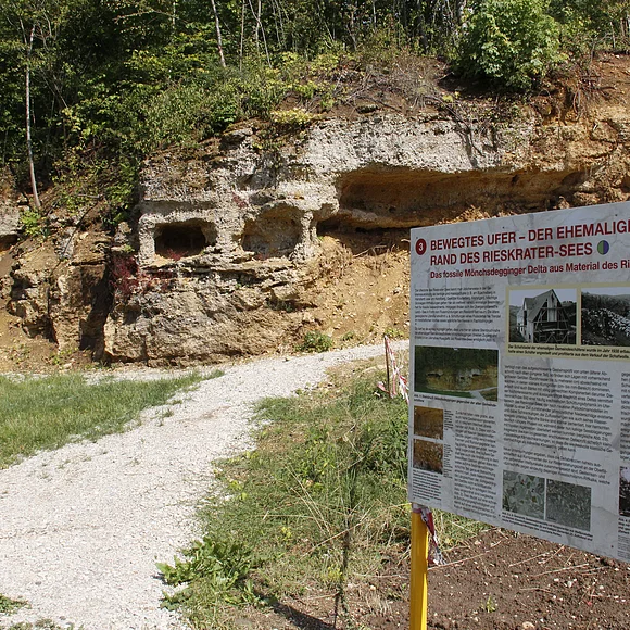 Hinter einer Informationstafel mit dem Titel "Bewegtes Ufer - der ehemalige Rand des Rieskrater-Sees" ist eine geklüftete Felswand mit Löchern zu sehen.