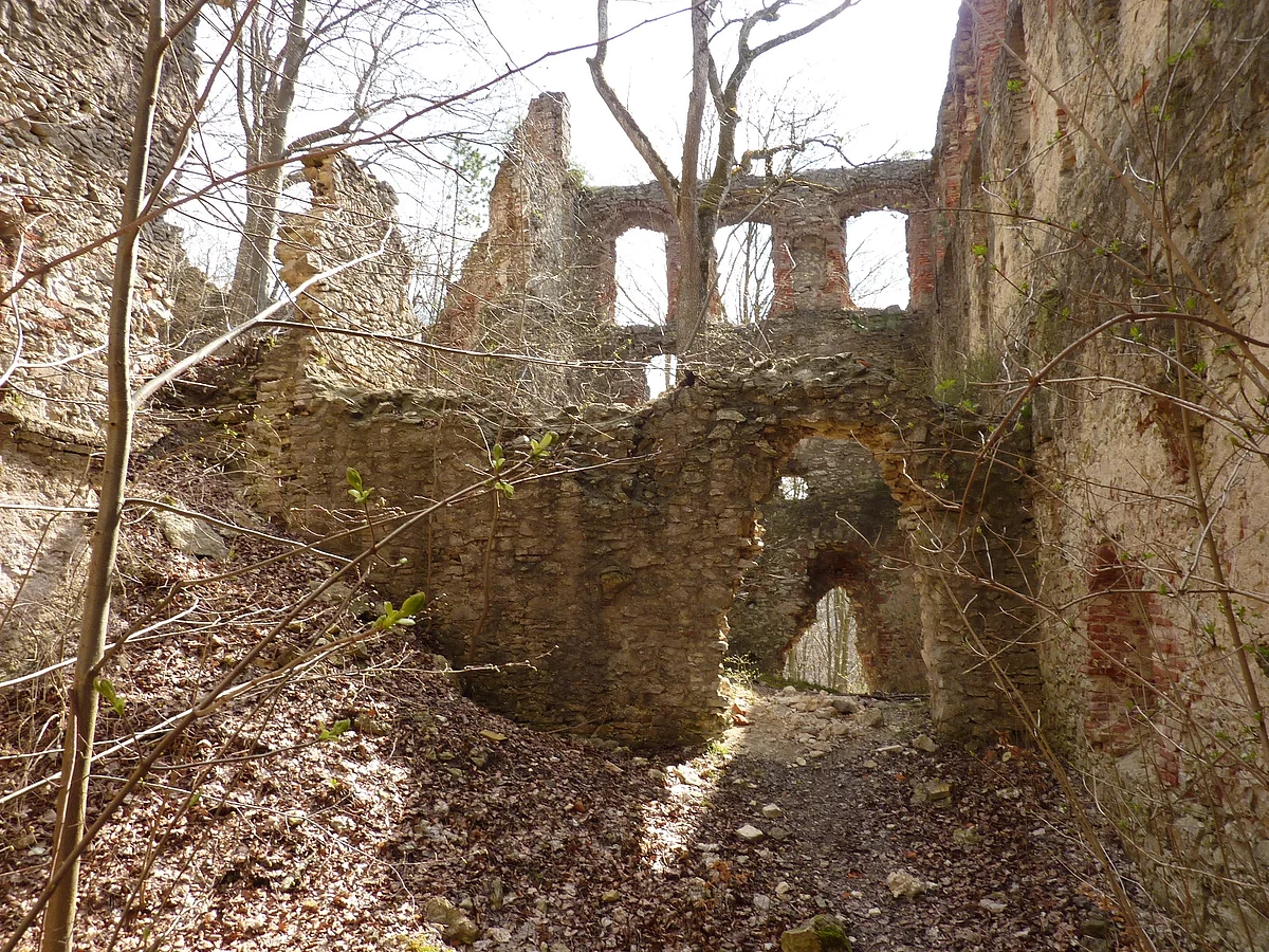 Eine Burgruine mit rauem Mauerwerk besitzt hohe Mauern mit Fensteröffnungen. In der Mitte ist ein Torbogen zu sehen.