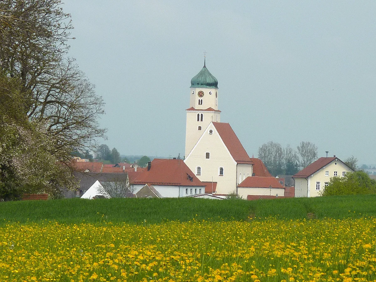 Blick auf die Pfarrkirche St. Dionysius. Davor eine gelb blühende Wiese mit Löwenzahn.