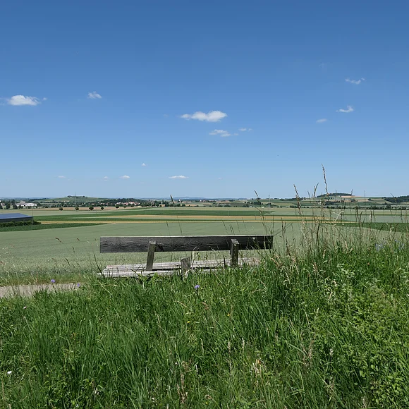 Vor einer Holzbank erstreckt sich der Blick in eine weite Landschaft mit Äckern, Wiesen und einzelnen Bäumen.