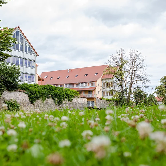 Zwei große Gebäude stehen hinter einer Steinmauer. Im Vordergrund ist eine grüne Wiese zu sehen.