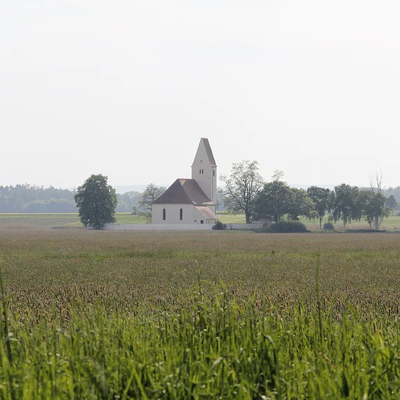 Eine hellgelbe Kirche ist von einigen Bäumen und Äckern umgeben.