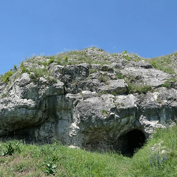 Ein bewachsener Felsblock hat an der Basis eine kleine Höhle.