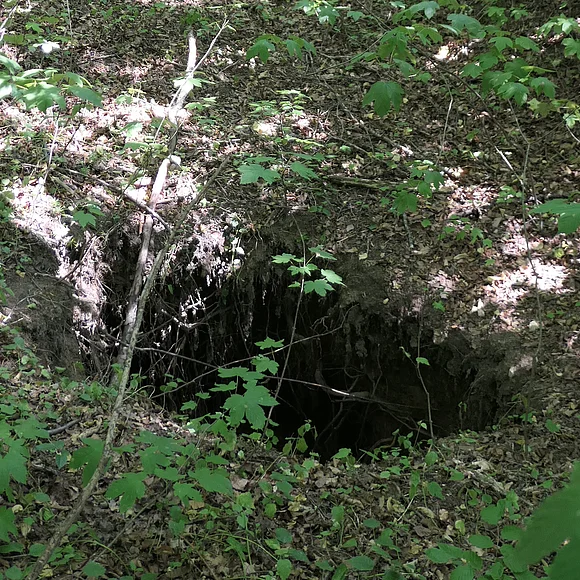 Im Boden eines Waldes befindet sich ein Loch mit circa einem Meter Durchmesser.