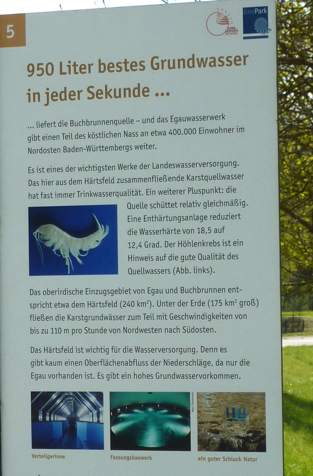 Das Bild zeigt einen Ausschnitt der Informationstafel über die Buchbrunnenquelle.