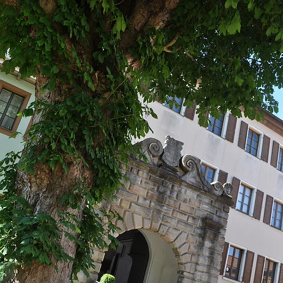 Torbogen Stadtschloss Der Torbogen zum Stadtschloss