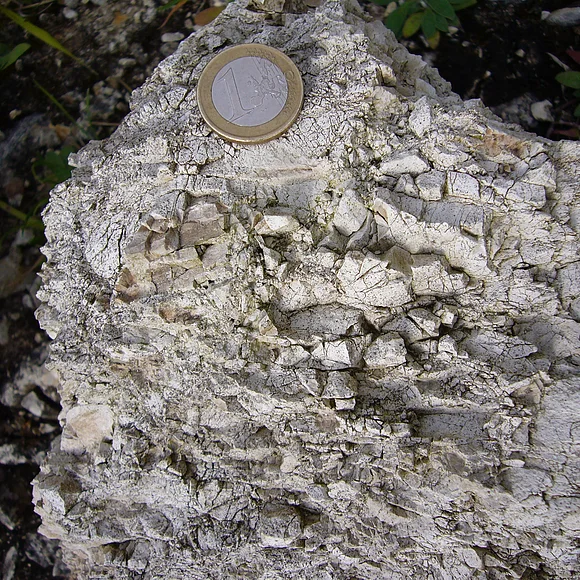 Ein helles Gesteinsbruchstück zeigt eine würfelige Oberfläche, auf der zum Größenvergleich eine 1-Euro-Münze liegt.