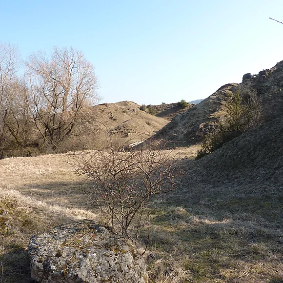 Hintereinander erstrecken sich mehrere Hügel mit Gras und kleinen Felsen. Am Bildrand sind Bäume zu sehen.