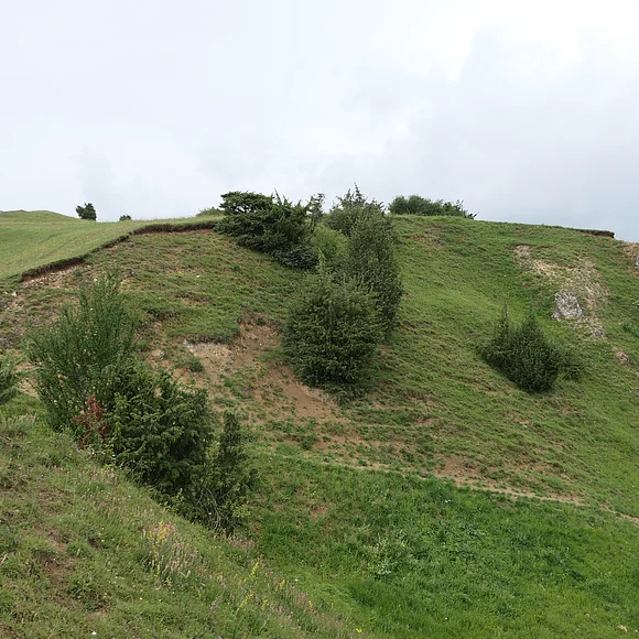 Die Wiese an einem Hügel zeigt offene Stellen mit Boden und Felsen. Vereinzelt stehen einzelne Büsche auf der Wiese.