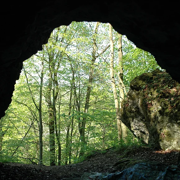 Von einer Höhle aus ist ein Felsblock und Wald zu sehen.