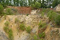 Im Hang eines ehemaligen Steinbruchs befindet sich teils rotes Lockergestein. Oberhalb des Hangs und vereinzelt im Hang wachsen Büsche und Bäume.