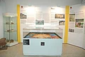 In einer großen Vitrine befindet sich ein farbiges Geländerelief. Im Hintergrund stehen große Informationstafeln.
