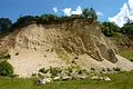 Am Fuß der Felswand eines ehemaligen Steinbruchs hat sich eine Schutthalde gebildet. Die Abbruchkante ist mit Vegetation bewachsen.