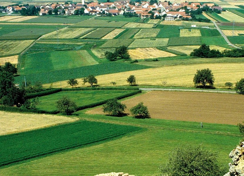 Am Fuße eines Hangs mit Felsen weidet eine Herde Schafe. Dahinter erstreckt sich eine weite Landschaft mit Äckern und Siedlungen.