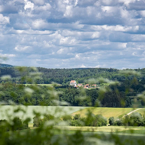 Geopark-Ries Juni 2022 In der Ferne sind zwischen Wald mehrere Gebäude zu sehen. Im Vordergrund befinden sich Äcker und Zweige eines Baumes. Am Himmel stehen viele kleine Wolken.