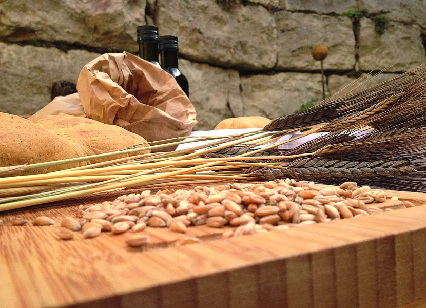 Auf einem Holzbrett liegen Getreidekörner und Getreidehalme mit Ähren. Im Hintergrund ist eine grobe Steinmauer zu sehen.