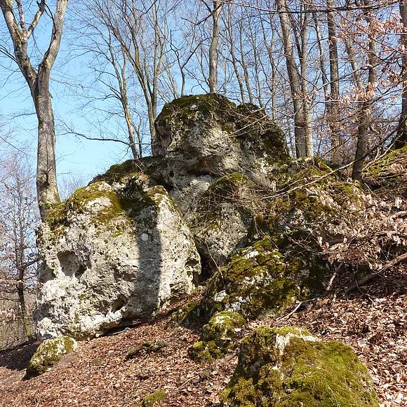In einem Wald befindet sich ein rundliche, mit Moos bewachsene Felsformation.