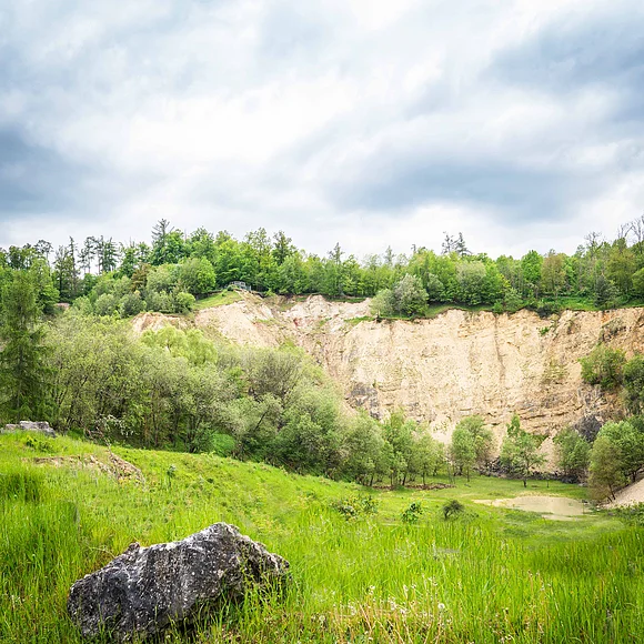 Geopark Ries Mai 2023 Eine hohe Felswand eines ehemaligen Steinbruchs wird von Bäumen umrahmt.