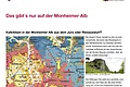 Eine Informationstafel über die Monheimer Alb mit Karten, Texten und Bildern zu Kalkfelsen und Dolinen. Oben rechts im Eck das Logo der Stadt Monheim, oben links das Logo der Monheimer Alb.