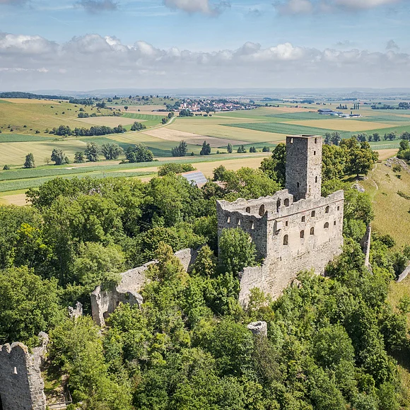 Luftaufnahme der Burgruine Niederhaus inmitten von Bäumen, umgeben von Feldern und Hügeln der Rieslandschaft.