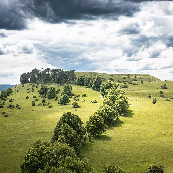 Hügelige Landschaft mit grünen Wiesen und Bäumen unter bewölktem Himmel.