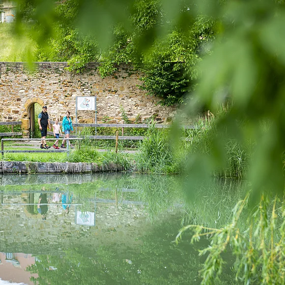 Klosterweiher, Kirchheim am Ries Eine Familie spaziert an einem Teich entlang, im Hintergrund eine Steinmauer und Bäume.