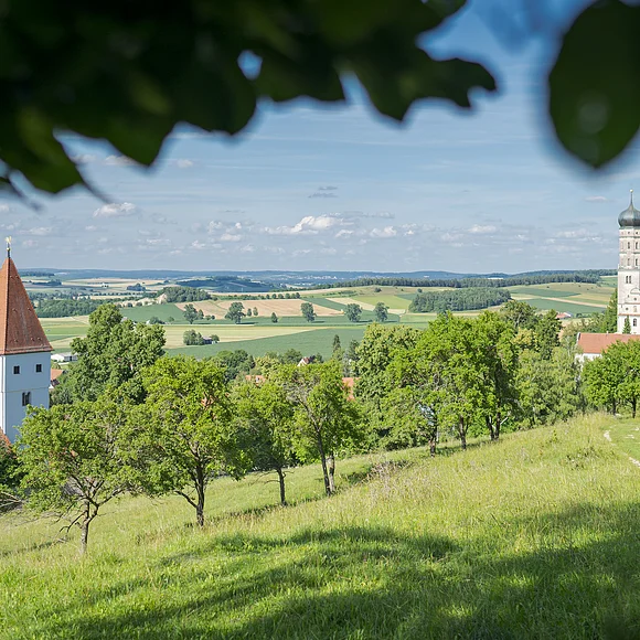 Landschaft mit Kirche, Feldern und zwei Personen, die auf einem Weg spazieren.