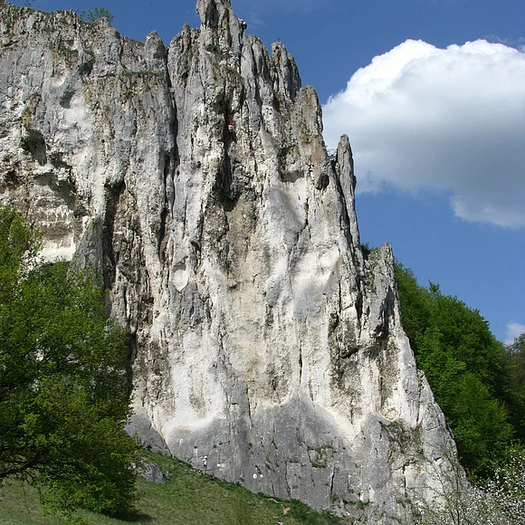 Dohlenfelsen bei Konstein Felsformation mit steiler weiß-grauer Oberfläche, davor Wiese, Bäume und Verkehrsschilder bei blauem Himmel.