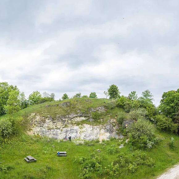 Vor einem geologischen Aufschluss stehen auf einer Wiese Sitzbänke und eine Informationstafel.