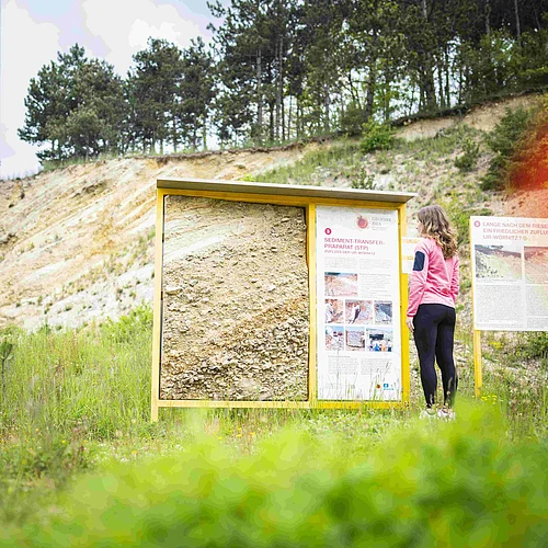 Geopark Ries Mai 2023 Eine Frau betrachtet an einer Lehrtafel das Sediment-Transfer-Präparat, das an der dahinter liegenden Felswand entnommen wurde.
