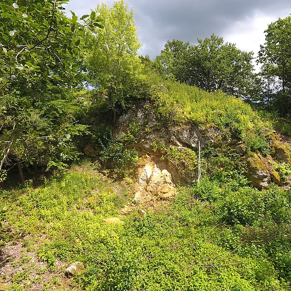 Aufschluss Stockiberg bei Kaisheim