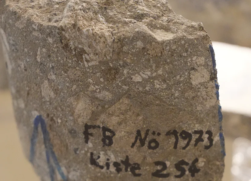 Zu sehen ist ein Stück Bohrkern aus Suevit mit der Aufschrift (per Hand) FB NÖ 1973.
